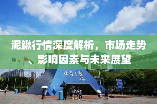 泥鳅行情深度解析，市场走势、影响因素与未来展望