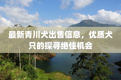 最新青川犬出售信息，优质犬只的探寻绝佳机会
