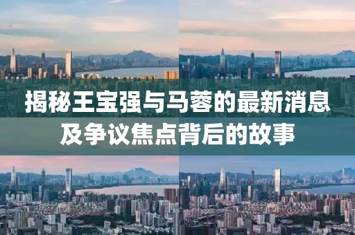 揭秘王宝强与马蓉的最新消息及争议焦点背后的故事
