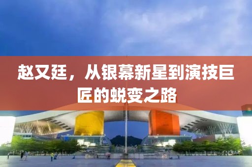 赵又廷，从银幕新星到演技巨匠的蜕变之路