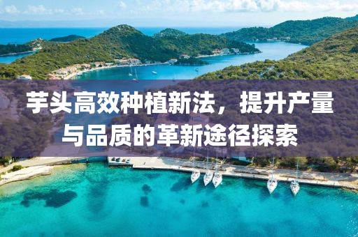 芋头高效种植新法，提升产量与品质的革新途径探索