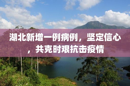 湖北新增一例病例，坚定信心，共克时艰抗击疫情