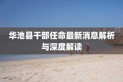 华池县干部任命最新消息解析与深度解读