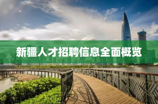 新疆人才招聘信息全面概览
