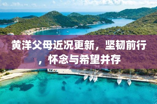 黄洋父母近况更新，坚韧前行，怀念与希望并存