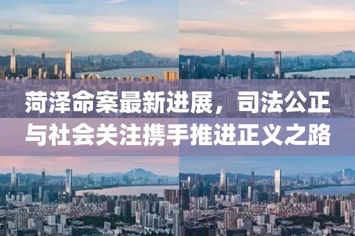 菏泽命案最新进展，司法公正与社会关注携手推进正义之路
