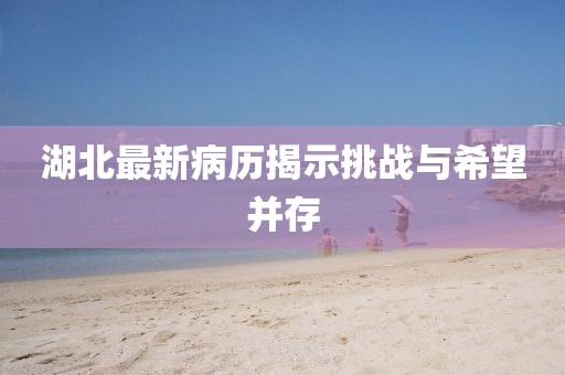 湖北最新病历揭示挑战与希望并存