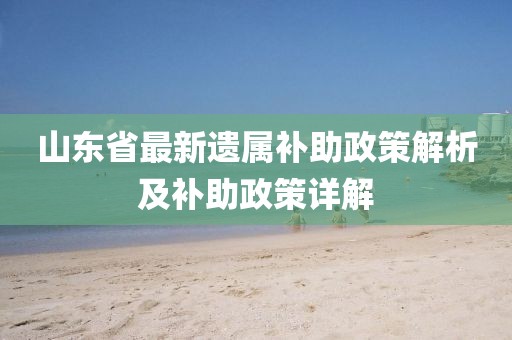山东省最新遗属补助政策解析及补助政策详解