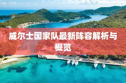 威尔士国家队最新阵容解析与概览