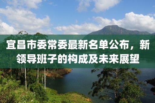 宜昌市委常委最新名单公布，新领导班子的构成及未来展望