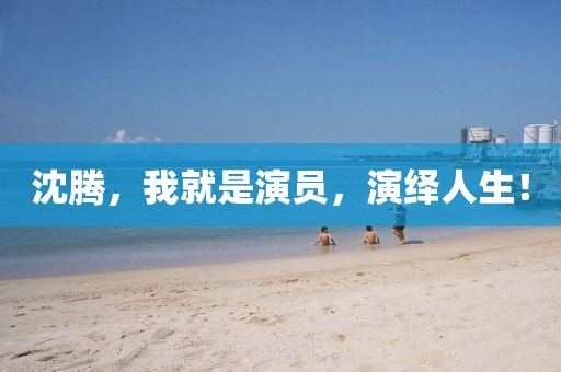 沈腾，我就是演员，演绎人生！
