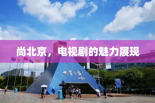 尚北京，电视剧的魅力展现