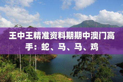 下一個 第19页