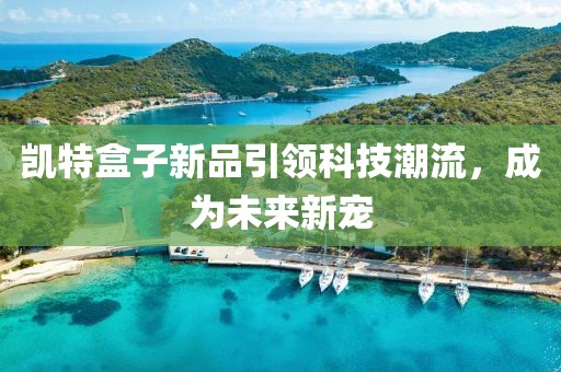 凯特盒子新品引领科技潮流，成为未来新宠