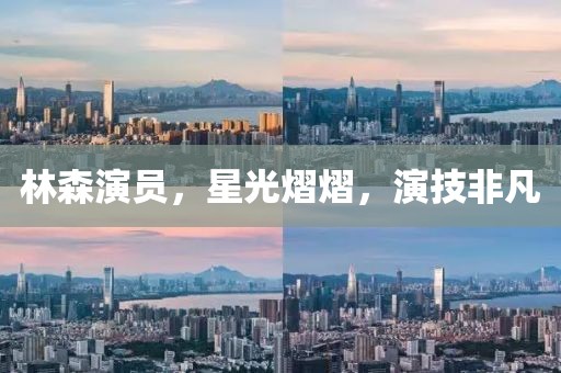 林森演员，星光熠熠，演技非凡