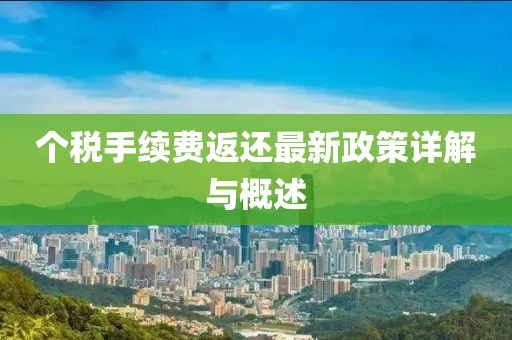 个税手续费返还最新政策详解与概述