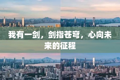 我有一剑，剑指苍穹，心向未来的征程