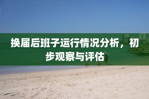 换届后班子运行情况分析，初步观察与评估