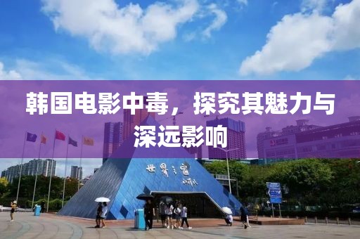 韩国电影中毒，探究其魅力与深远影响