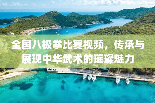 全国八极拳比赛视频，传承与展现中华武术的璀璨魅力