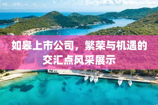 如皋上市公司，繁荣与机遇的交汇点风采展示