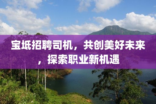 宝坻招聘司机，共创美好未来，探索职业新机遇