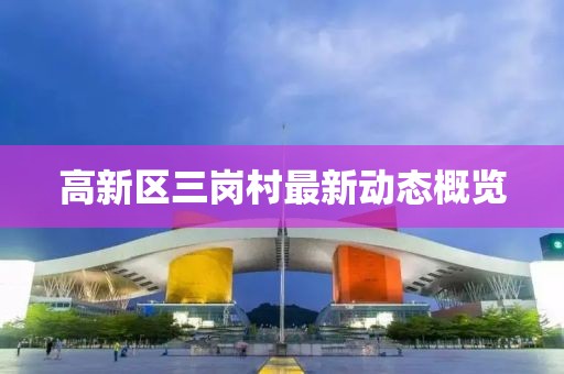 高新区三岗村最新动态概览