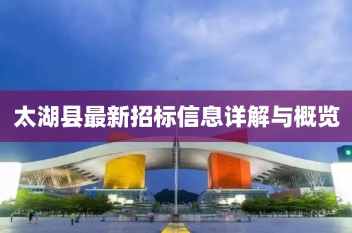 太湖县最新招标信息详解与概览