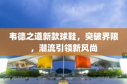 韦德之道新款球鞋，突破界限，潮流引领新风尚