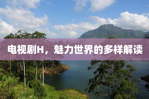 电视剧H，魅力世界的多样解读