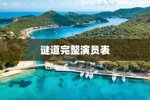 谜道完整演员表