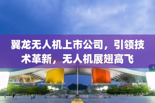 翼龙无人机上市公司，引领技术革新，无人机展翅高飞