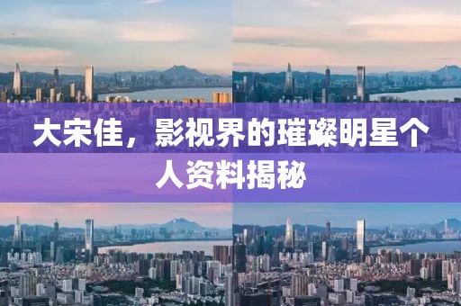 大宋佳，影视界的璀璨明星个人资料揭秘