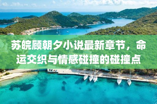 苏皖顾朝夕小说最新章节，命运交织与情感碰撞的碰撞点