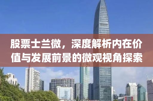 股票士兰微，深度解析内在价值与发展前景的微观视角探索