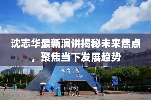 沈志华最新演讲揭秘未来焦点，聚焦当下发展趋势