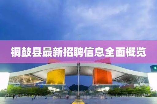 铜鼓县最新招聘信息全面概览