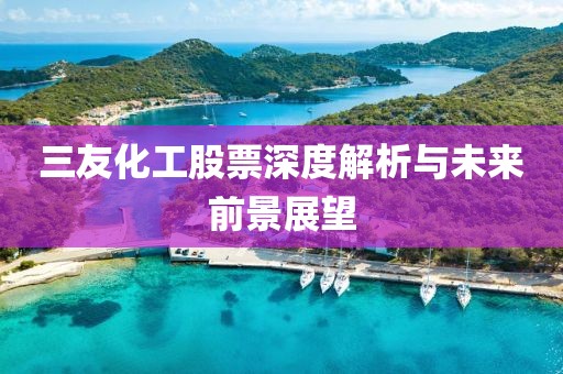 三友化工股票深度解析与未来前景展望