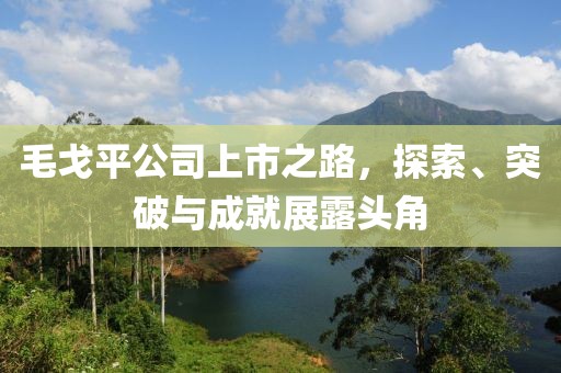 毛戈平公司上市之路，探索、突破与成就展露头角