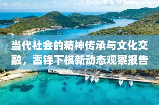 当代社会的精神传承与文化交融，雷锋下棋新动态观察报告