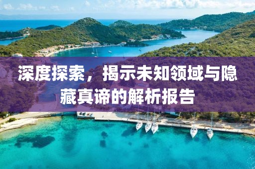 深度探索，揭示未知领域与隐藏真谛的解析报告