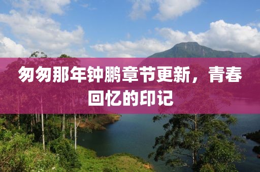 匆匆那年钟鹏章节更新，青春回忆的印记
