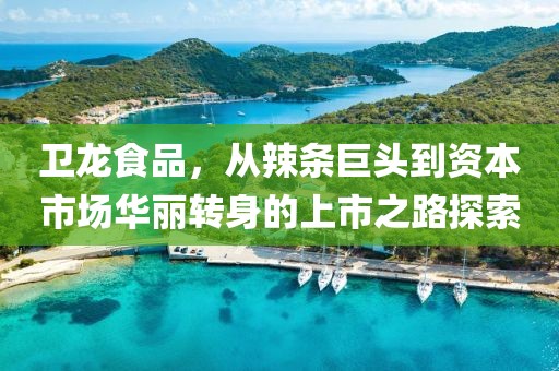 卫龙食品，从辣条巨头到资本市场华丽转身的上市之路探索