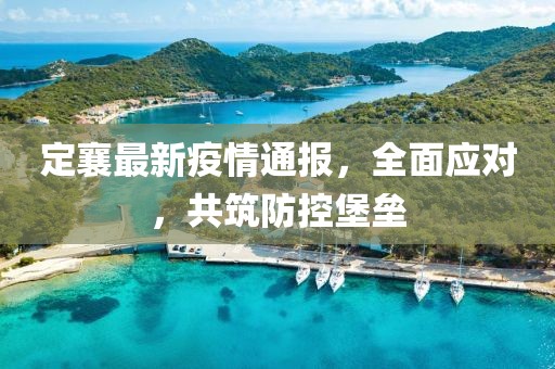 定襄最新疫情通报，全面应对，共筑防控堡垒