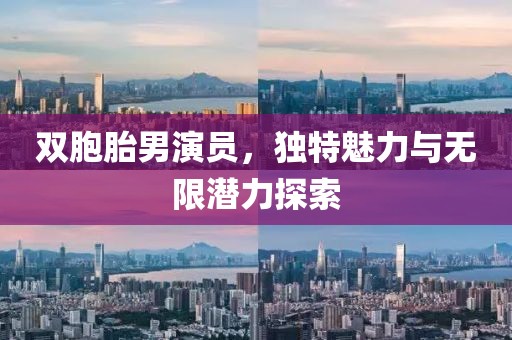 双胞胎男演员，独特魅力与无限潜力探索