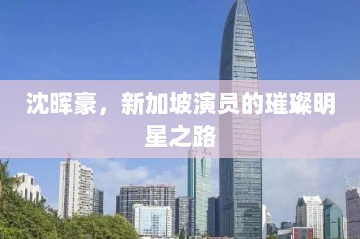 沈晖豪，新加坡演员的璀璨明星之路
