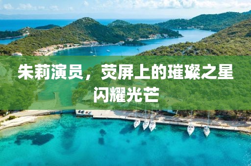 朱莉演员，荧屏上的璀璨之星闪耀光芒