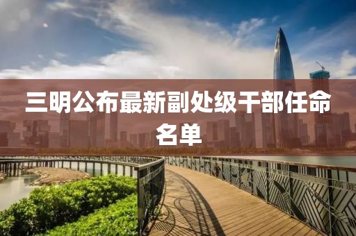 三明公布最新副处级干部任命名单