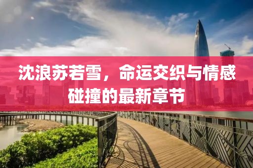 沈浪苏若雪，命运交织与情感碰撞的最新章节