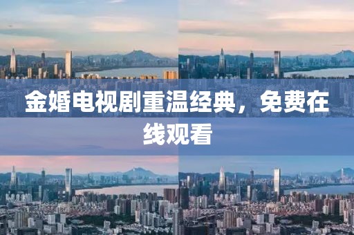 金婚电视剧重温经典，免费在线观看